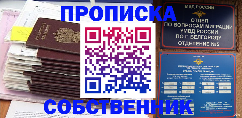 прописка законно в Алатыре